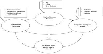Tackling post-COVID-19 pandemic food crises through the adoption of improved maize seeds and technologies by smallholder farmers: The case of Ejura Sekyeredumase in Ghana